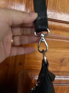 Longchamp Original Bag