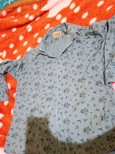 Turtle Branded Party Wear Shirt