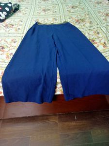 Designer Flared Palazzo