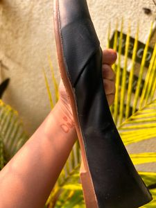 Black Belly Shoe