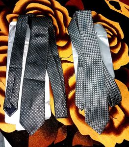 Stylish Ties - Set of 2
