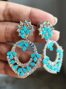 Beautiful Pale Blue Colour Earrings