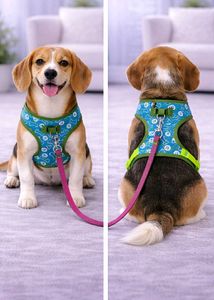 Dog Harness with Leash