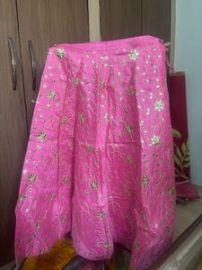 Pink Embroidered Lehenga Skirt