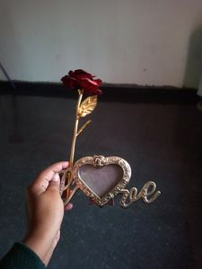 Beautiful Rose Flower Photo Frame
