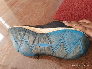 ACME Trekking Shoes