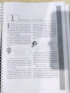 NCERT Class 7 S.St &amp; Science Books.
