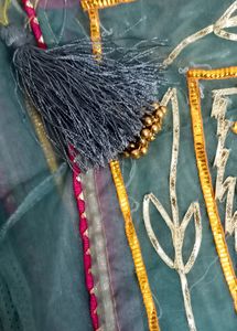 Price Drop🥳Pure Organza Fancy Saree
