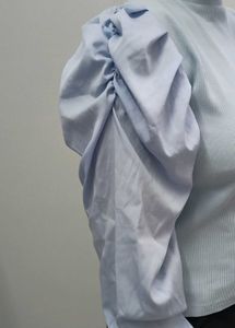 Chic Puff Sleeve Top