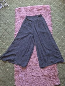 Plazo Pant