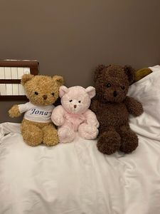Adorable Teddy Bear Trio