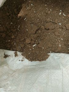 Brand New Compost Soil Good For Plants