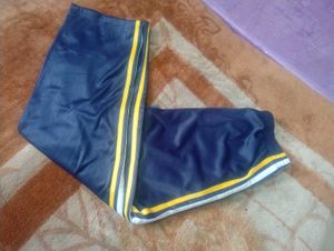 Striped Navy Blue Track Pants