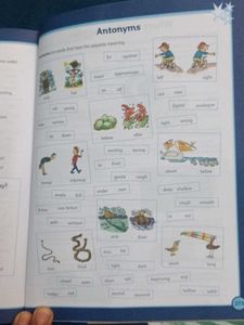 Junior Dictionary