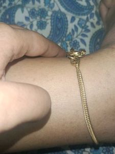 Eversliver Gold Plated Anklet