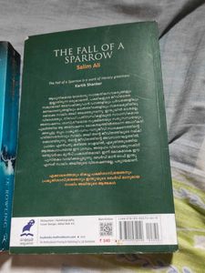 Harry Potter and the fall of a sorrow