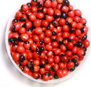 Gujarati Gumchi Beej Packet