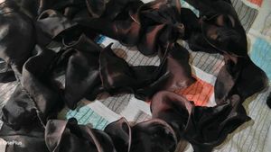 black lehnga with frill dupatta