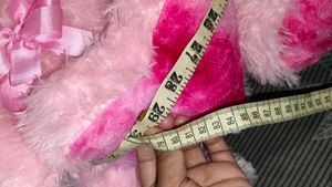 Teddy Bear Or Stuffed Toy