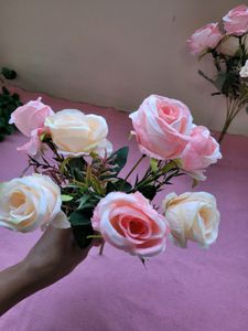 Light Pink Roses