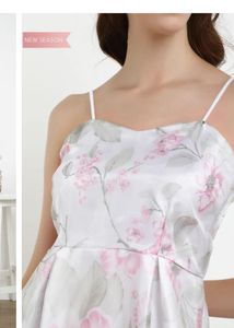 Organza Dress