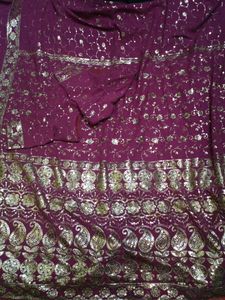 Full sequence work saree
