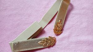 Golden Sleek Belt