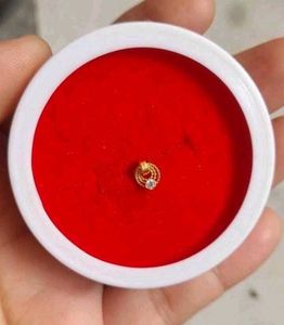 Beautiful New Ring Type Nosering