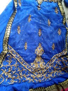 This Beautiful Net Gown