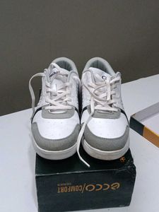 Combit Shoes for Men White Light Grey