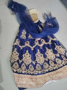 Blue Embellished Lehenga Choli Set
