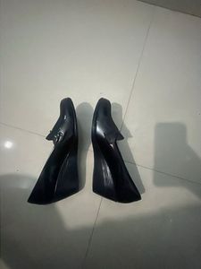Black Bellies