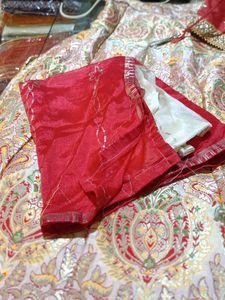 Gorgeous Lehenga Choli Set