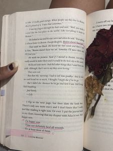 Colleen Hoover &amp; Dopamine Detox Book Bundle