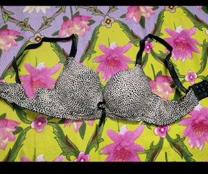 Leopard Pushup BRA👙👙