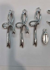 13 Silver Charm Mix