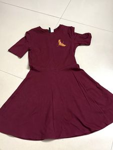 Cute Maroon Skater Dress