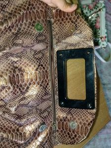 Snake Print Clutch