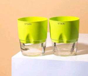 Self Water Plant Pot