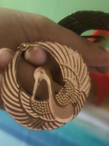 Fashionable Earrings