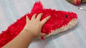 Amazing Soft Toy 🐬