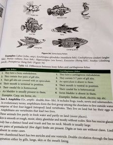 9th Class Biology Textbook