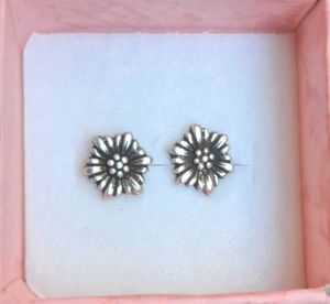 Silver Studs Earrings