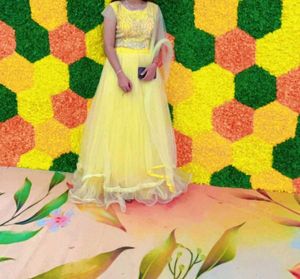 Elegant Ethnic Gown