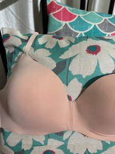 Enamor Bra Size L