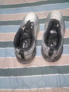 Stylish Silver Sneakers