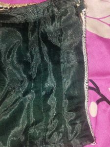 Elegant Green Lehenga