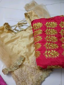 Lehenga And Choli In New Condition
