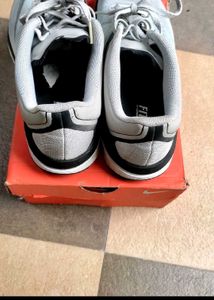 Nike Flex RN Shoes