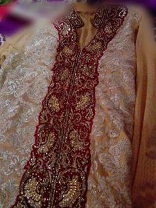 Elegant Ethnic Dress